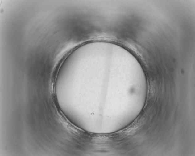 X0000088911462200706291517