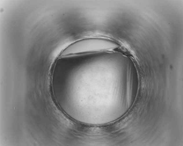 X0000088911463200706291517