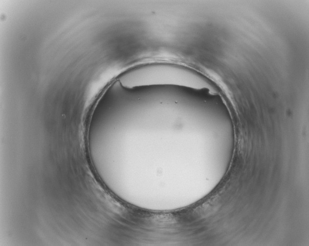 X0000088911464200706291517