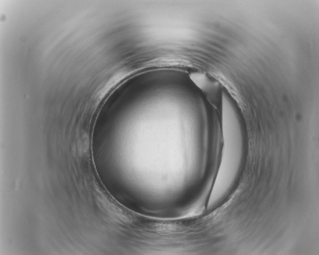 X0000088911465200706291517