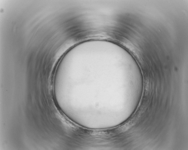 X0000088911466200706291517