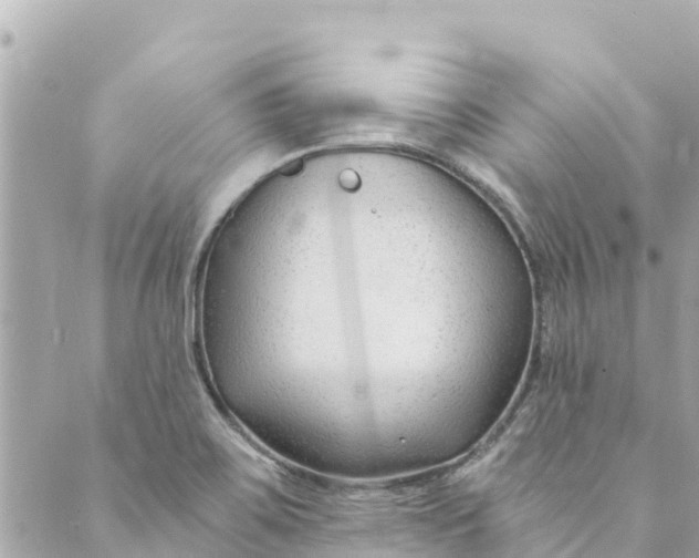 X0000088911467200706291517