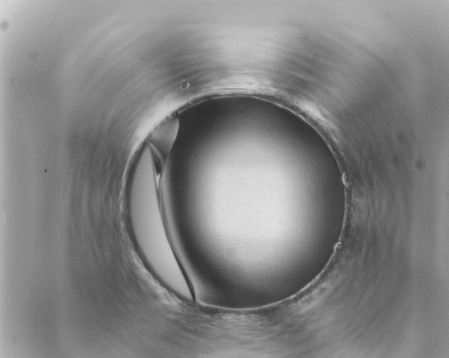 X0000088911469200706291517