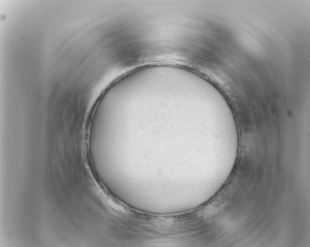 X0000088911470200706291517