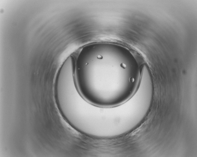 X0000088911471200706291517