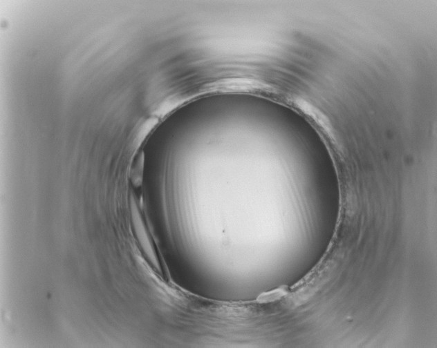 X0000088911473200706291517