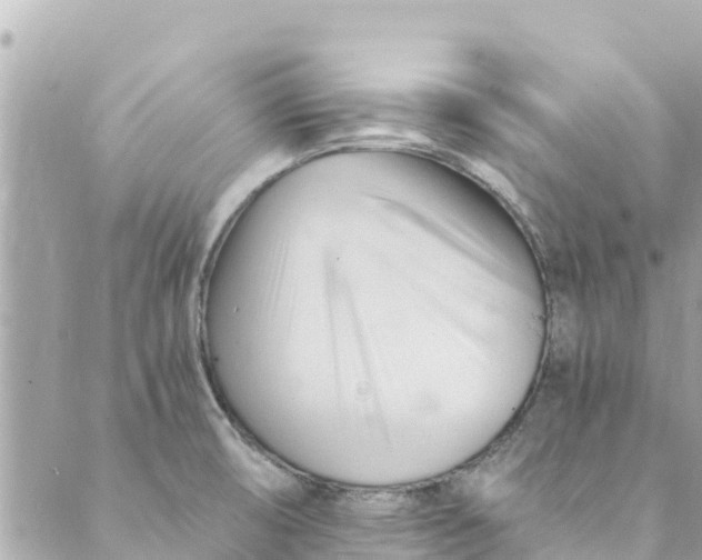 X0000088911474200706291517