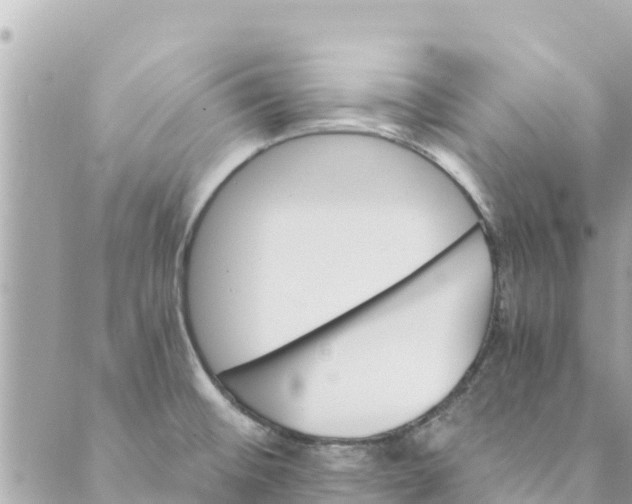 X0000088911476200706291517