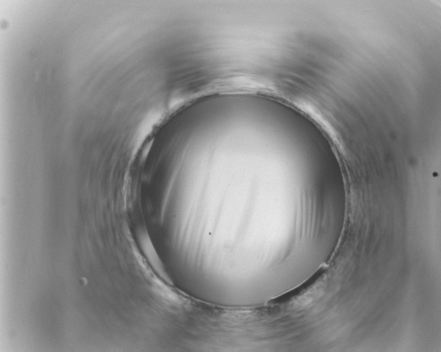 X0000088911477200706291517