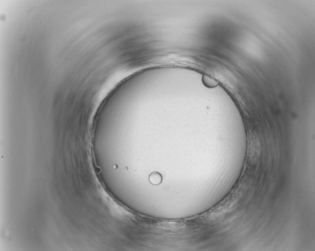 X0000088911478200706291517