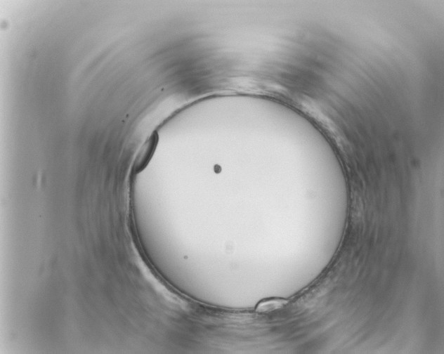 X0000088911479200706291517