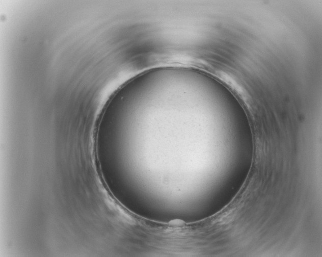 X0000088911480200706291517