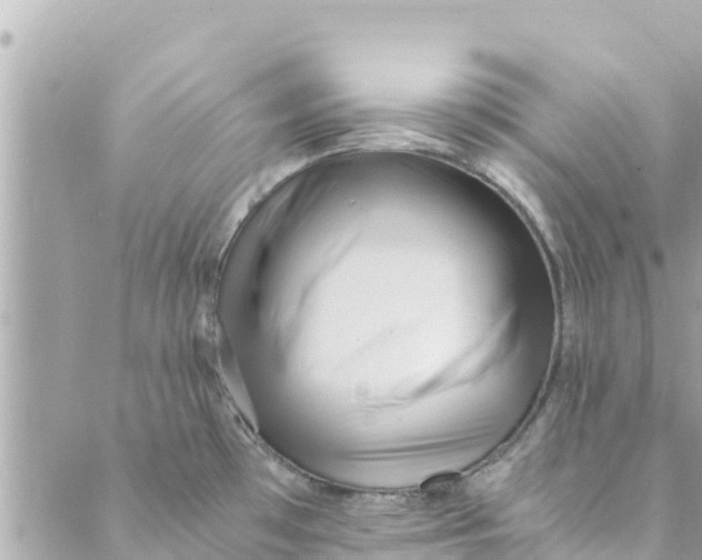 X0000088911481200706291517