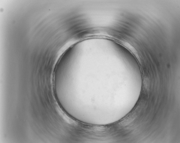 X0000088911482200706291517