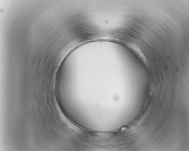 X0000088911483200706291517