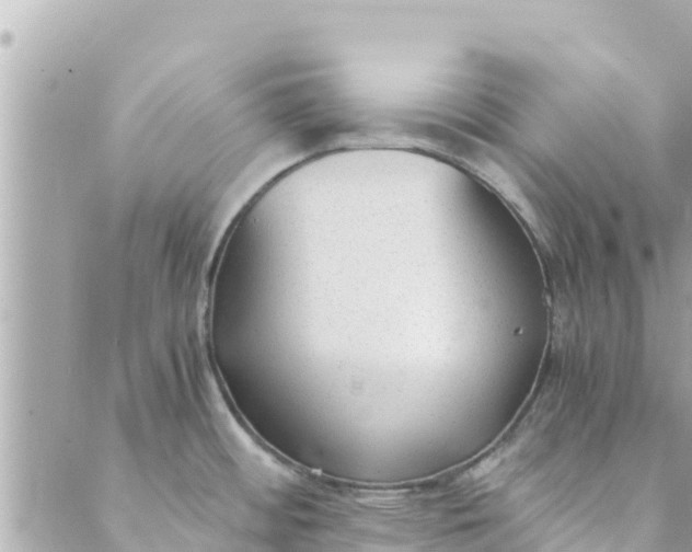 X0000088911484200706291517