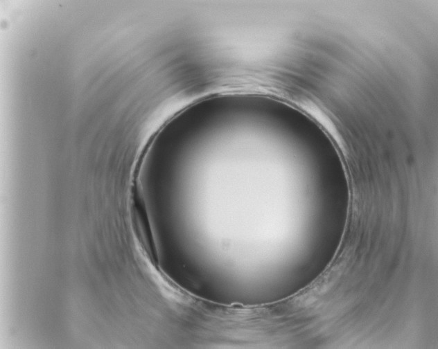 X0000088911485200706291517