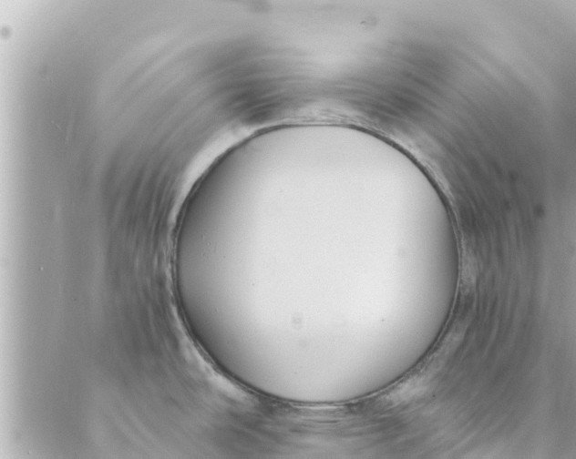 X0000088911486200706291517