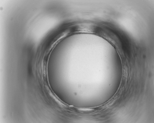 X0000088911487200706291517