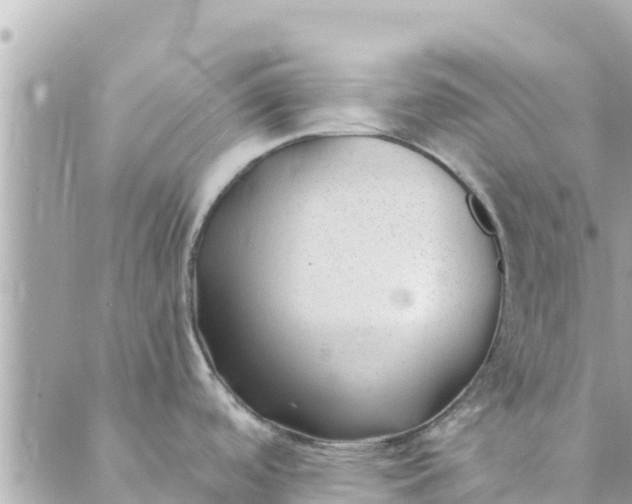 X0000088911488200706291517