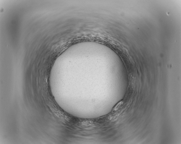 X0000088911489200706291516