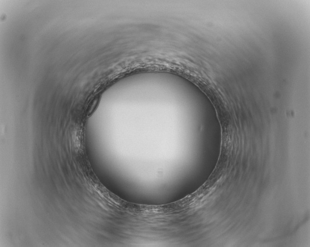 X0000088911490200706291516