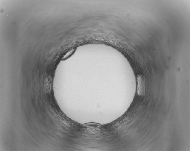 X0000088911491200706291516