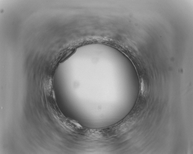 X0000088911492200706291516