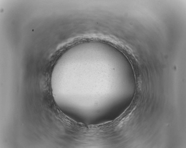 X0000088911494200706291516