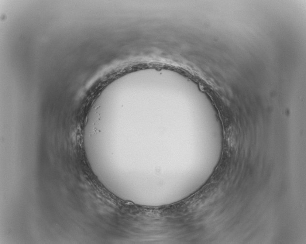 X0000088911495200706291516