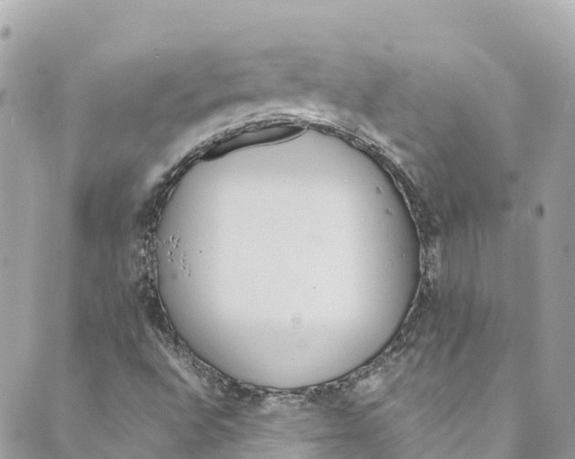 X0000088911496200706291516