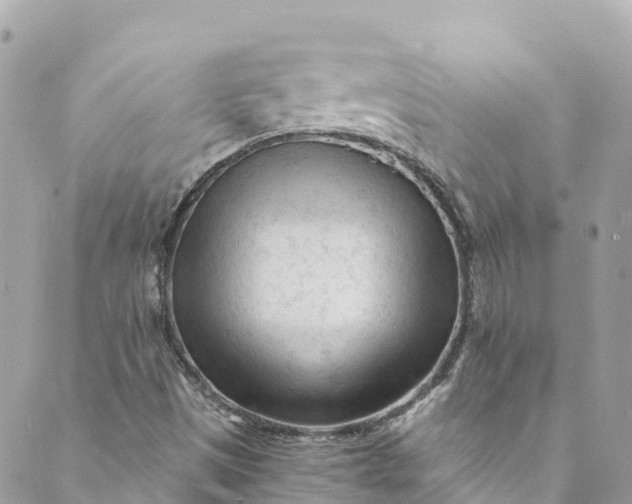 X0000088911497200706291516