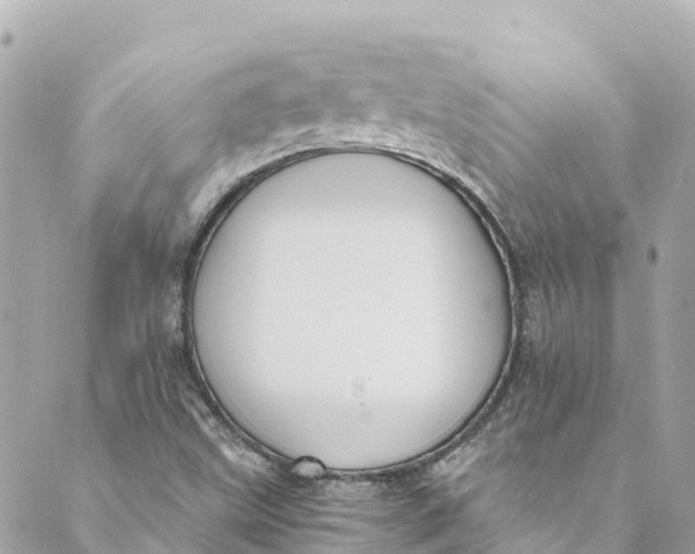 X0000088911499200706291516