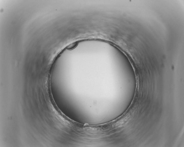 X0000088911500200706291516