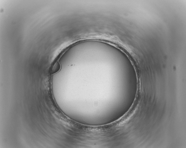 X0000088911501200706291516