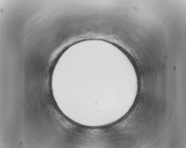 X0000088911502200706291516