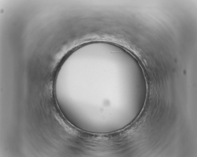 X0000088911503200706291516