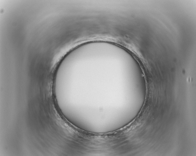 X0000088911504200706291516