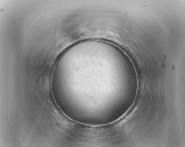 X0000088911505200706291516