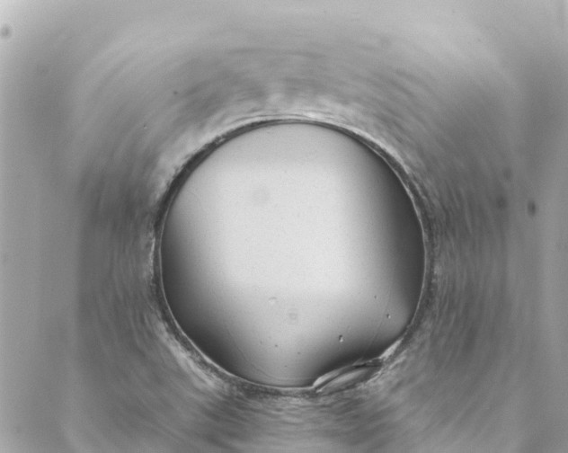 X0000088911507200706291516