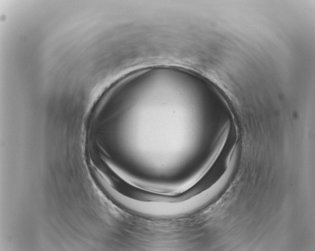 X0000088911508200706291516