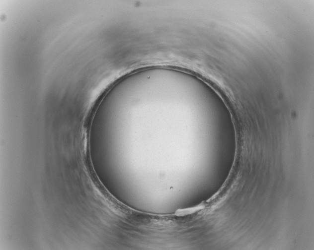 X0000088911509200706291516