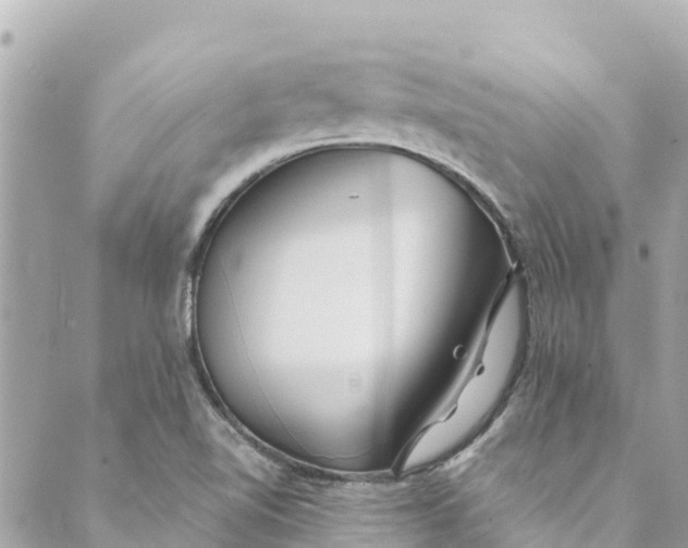 X0000088911510200706291516