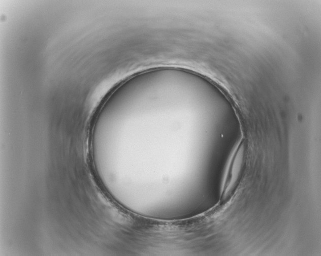 X0000088911511200706291516