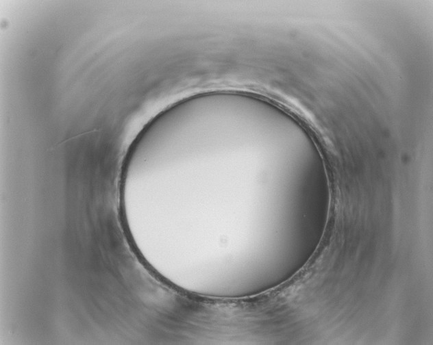 X0000088911512200706291516