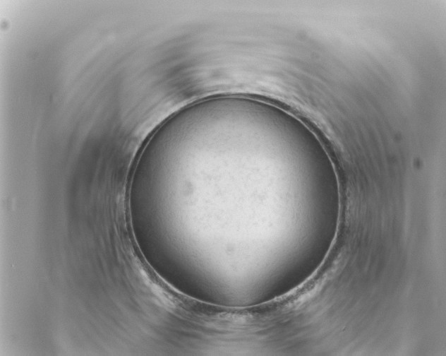 X0000088911513200706291516