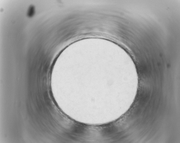 X0000088911514200706291516