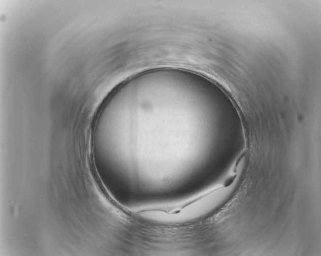 X0000088911515200706291516