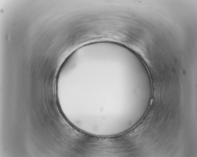 X0000088911516200706291516