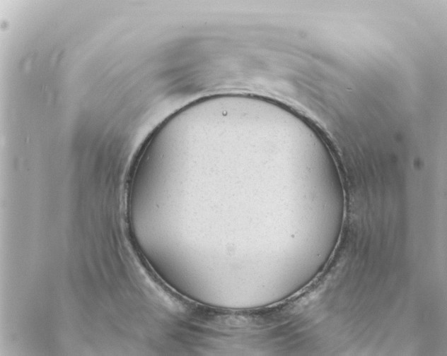 X0000088911517200706291516